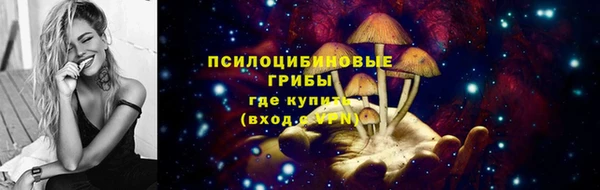 apvp Белая Холуница