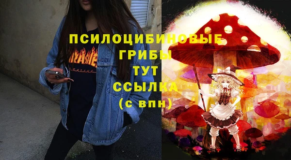 бошки Верхнеуральск