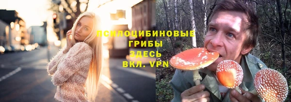 ГАЛЛЮЦИНОГЕННЫЕ ГРИБЫ Верхний Тагил